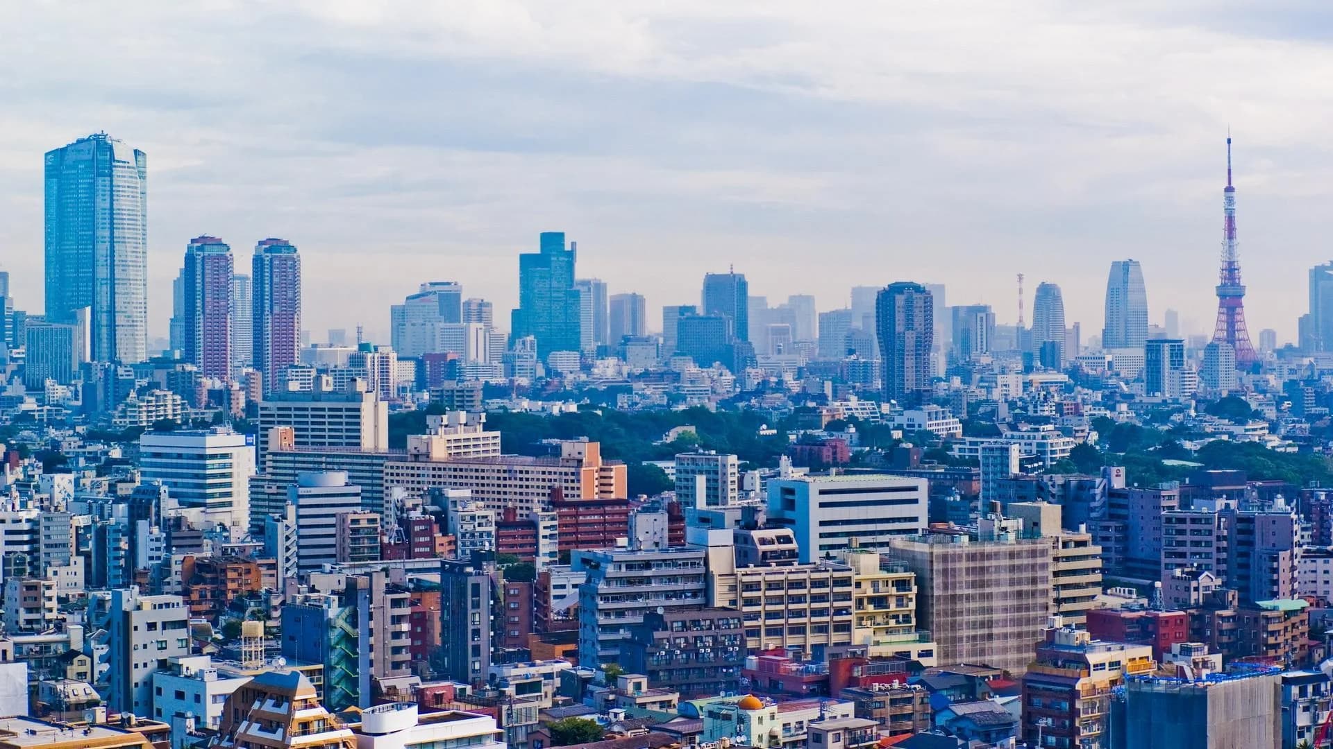 セクション背景